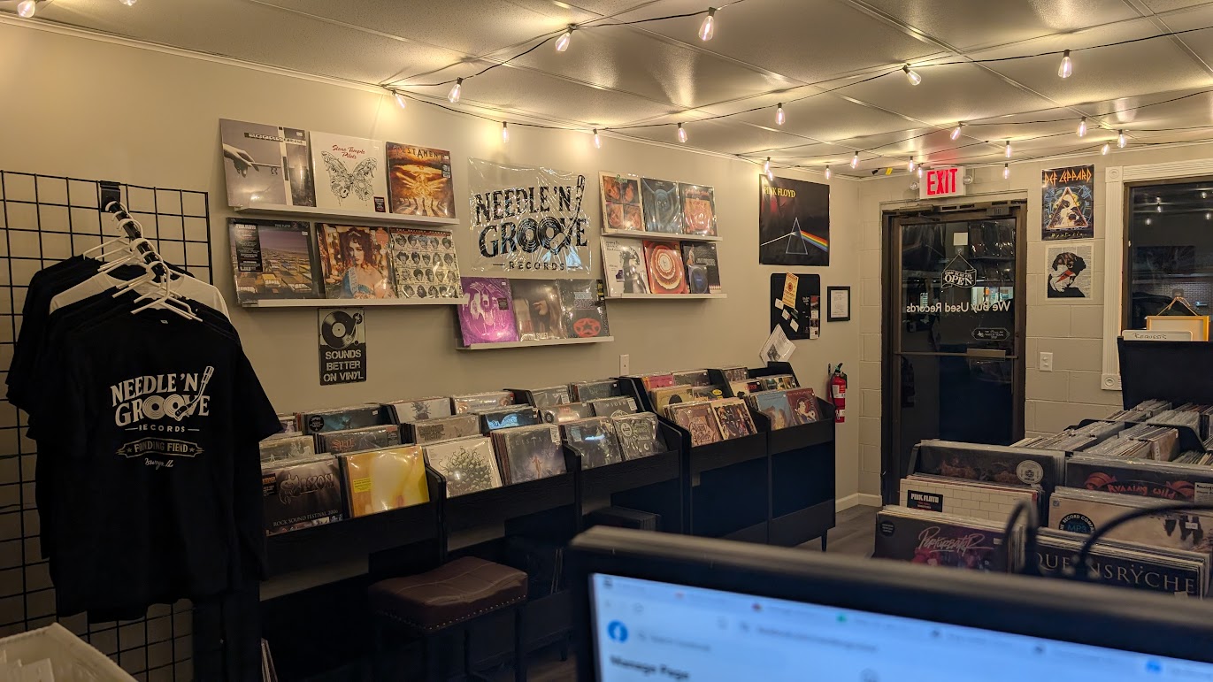 Close-up of organized record bins at Needle 'N Groove